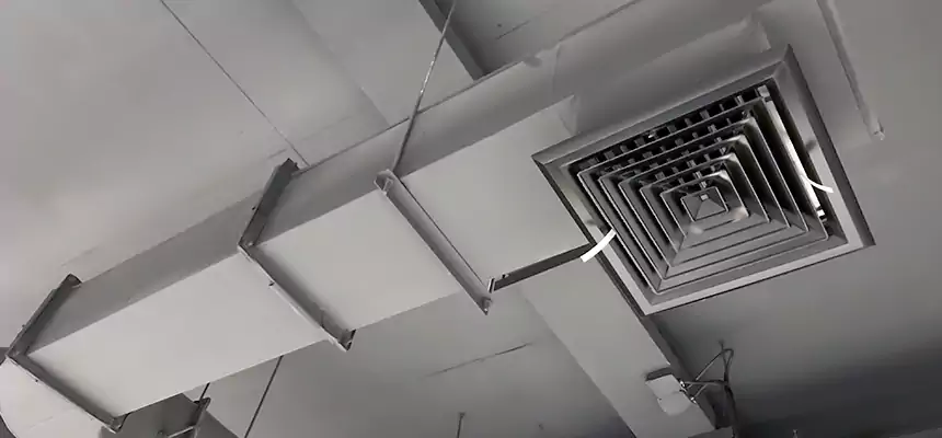 Our Pest Removal From Ducts Services in Lansing, IL