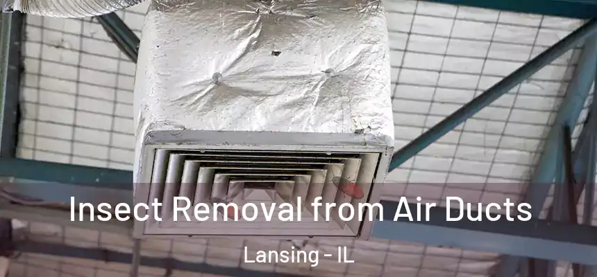 Insect Removal from Air Ducts Lansing - IL