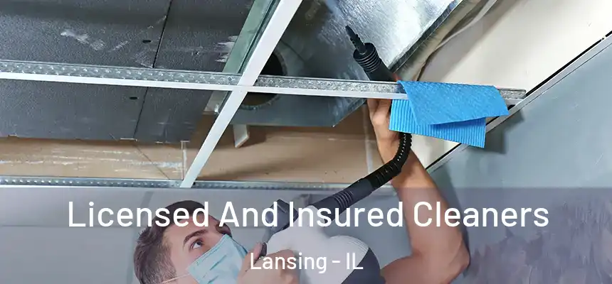  Licensed And Insured Cleaners Lansing - IL
