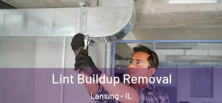  Lint Buildup Removal Lansing - IL