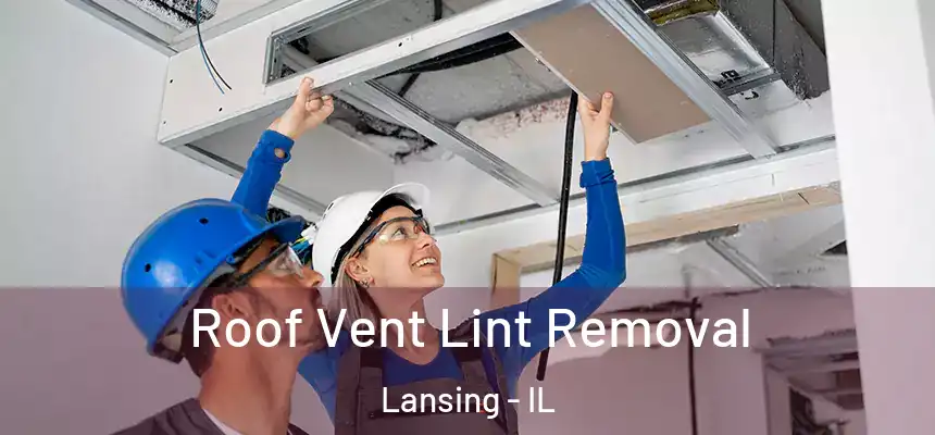  Roof Vent Lint Removal Lansing - IL