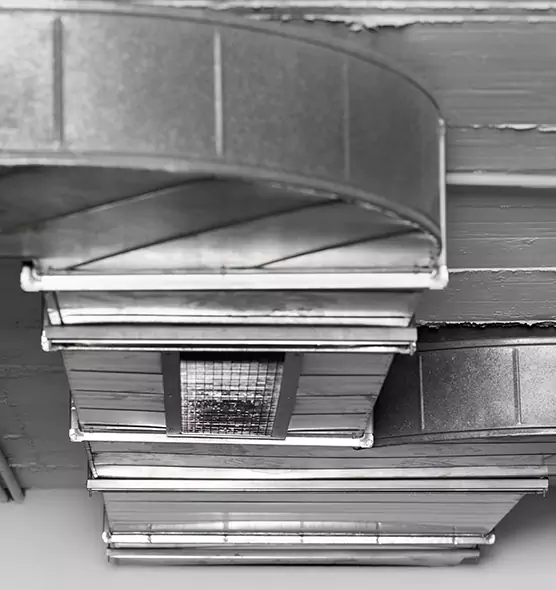 Professional Air Duct Pet Hair Removal in Lansing, IL