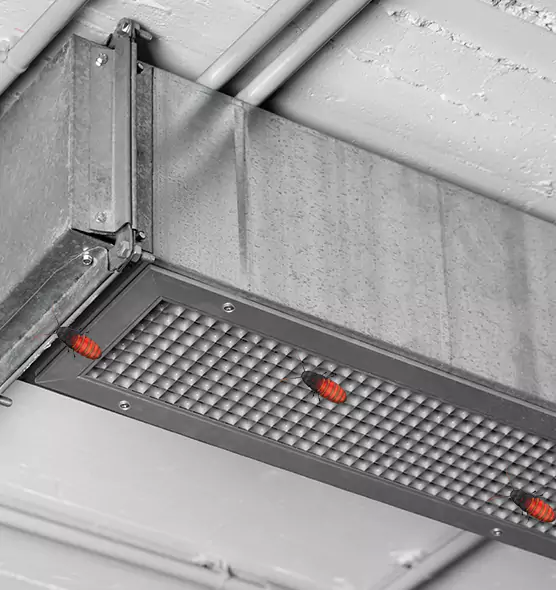 Affordable Insect Removal from Air Ducts in Lansing, IL