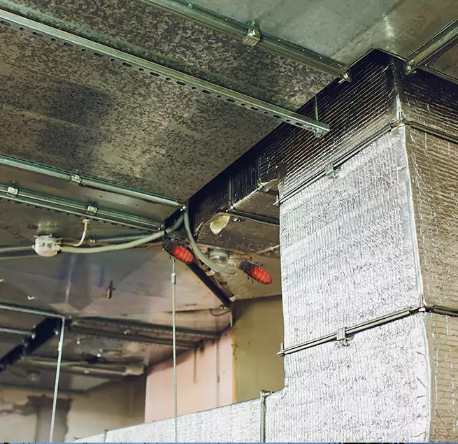 Why Homeowners & Businesses Trust Us in Lansing, IL?