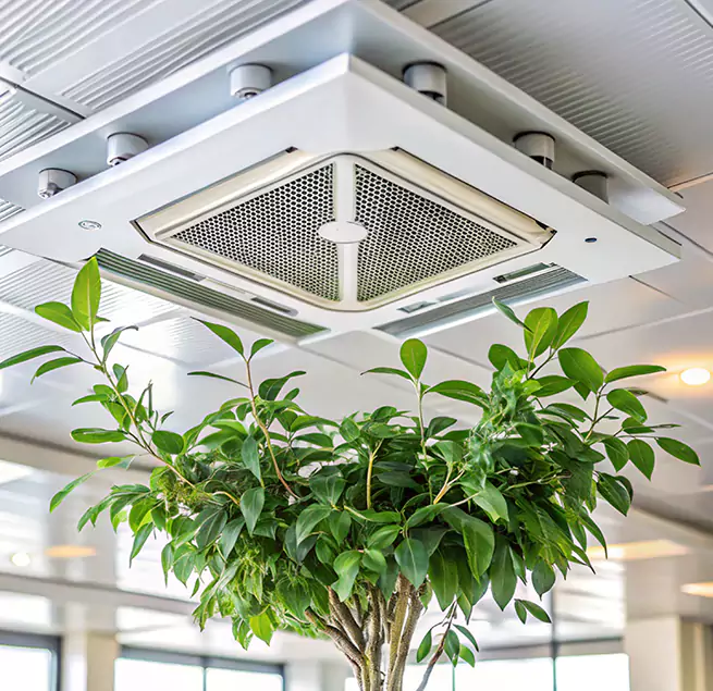 Why Homeowners & Businesses Trust Us in Lansing, IL?